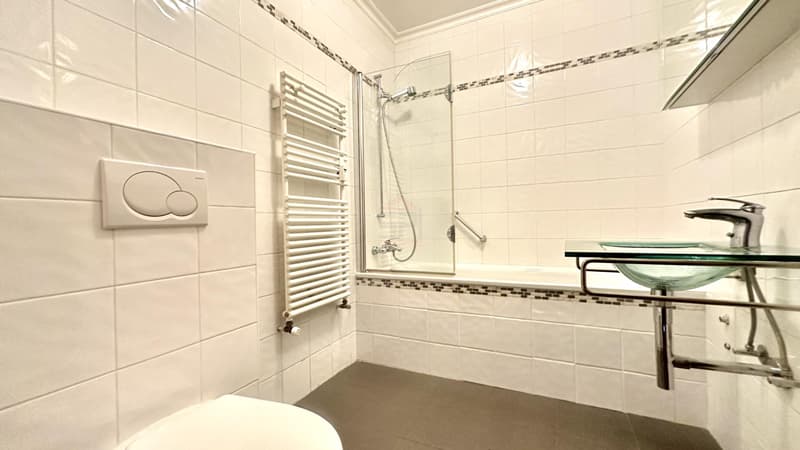 Duplex mit 7,5 Zimmern von Ausnahme im Herzen des Schlosses Barillet, Lebenskunst zwischen Weinbergen und Genf (8)