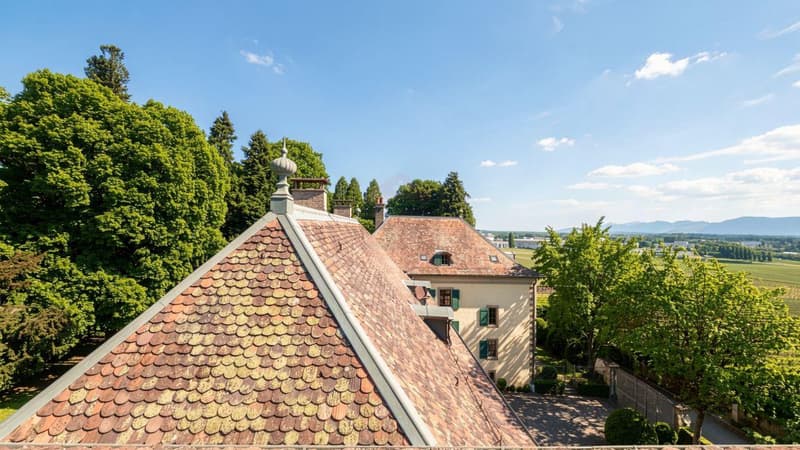 Duplex mit 7,5 Zimmern von Ausnahme im Herzen des Schlosses Barillet, Lebenskunst zwischen Weinbergen und Genf (3)