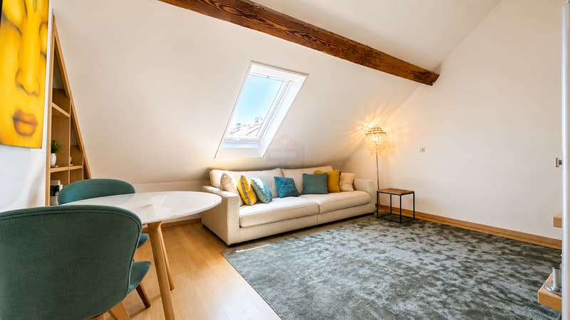 Charming apartment combining character and elegance (3)