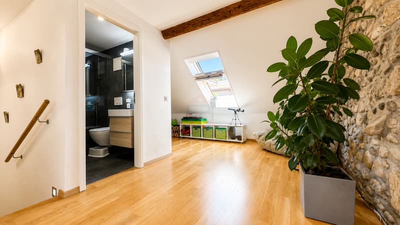 Charming apartment combining character and elegance (4)