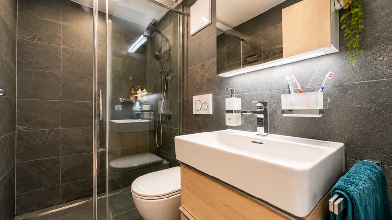 Charming apartment combining character and elegance (9)