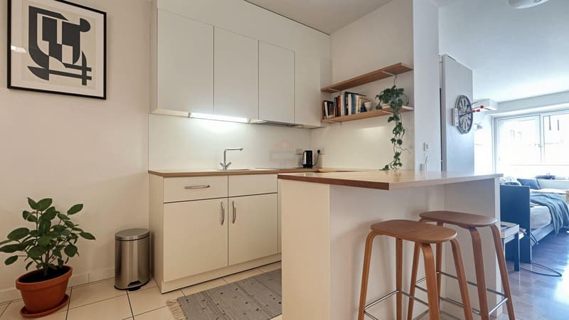 Charmantes 44 m² Studio, in einer sehr gefragten Lage. (2)