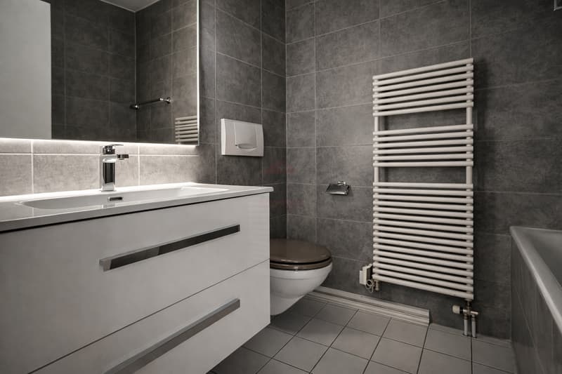Appartamento eccezionale / Quartiere delle Nazioni, Ginevra (6)
