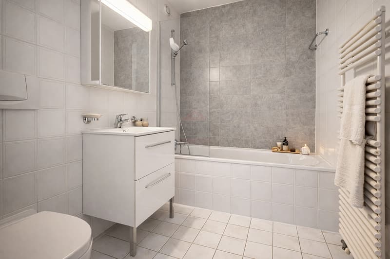 Exceptional Apartment / Nations Quarter, Geneva (8)