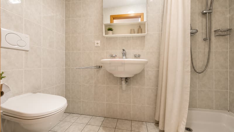 Charmant 5 pièces de 117 m² PPE à Meyrin avec un grand balcon (10)