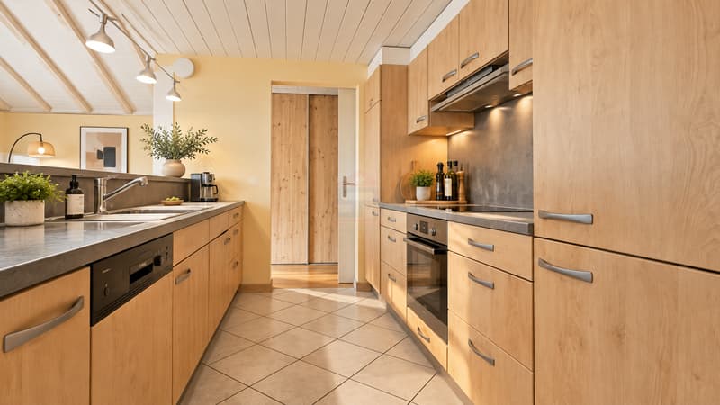Magnifique appartement de 5 pièces aux volumes atypiques et à la luminosité exceptionnelle (4)