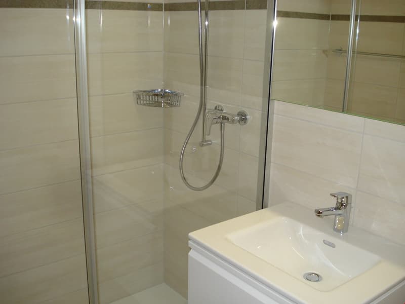 Tolle Wohnung mit Seesicht, ruhige Lage! (7)