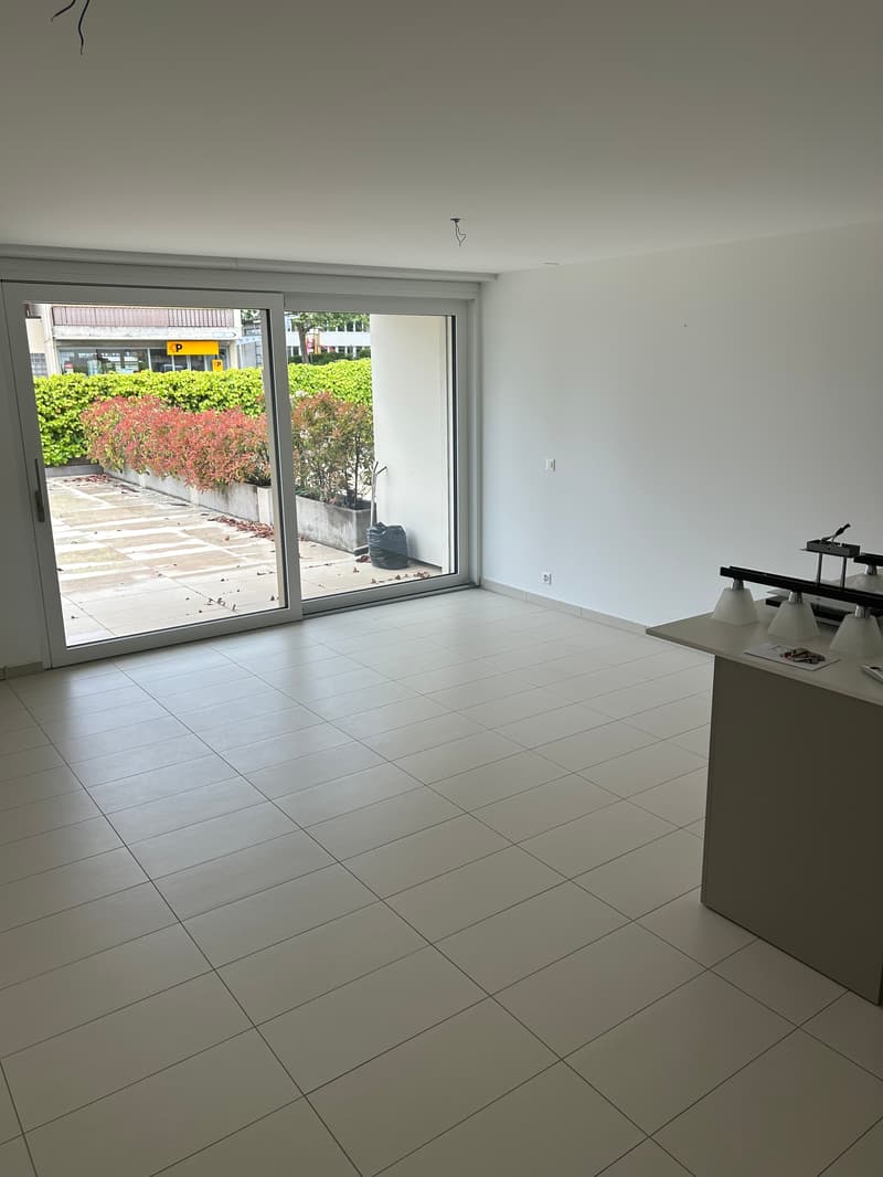 For Sale — Magnificent studio with immense terrace in Begnins (VD) (1)