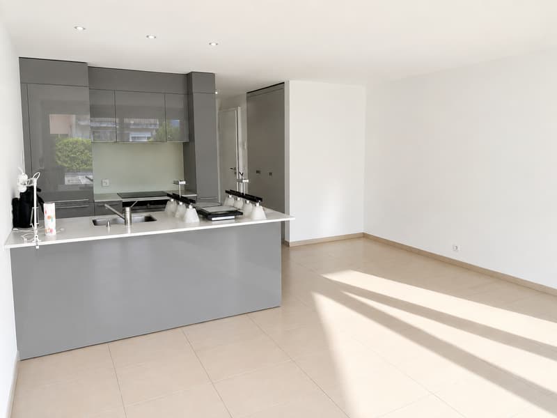 Zu Verkaufen — Prächtiges Studio mit großer Terrasse in Begnins (VD) (4)