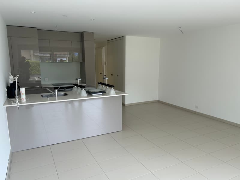 For Sale — Magnificent studio with immense terrace in Begnins (VD) (3)