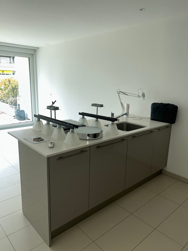 For Sale — Magnificent studio with immense terrace in Begnins (VD) (5)