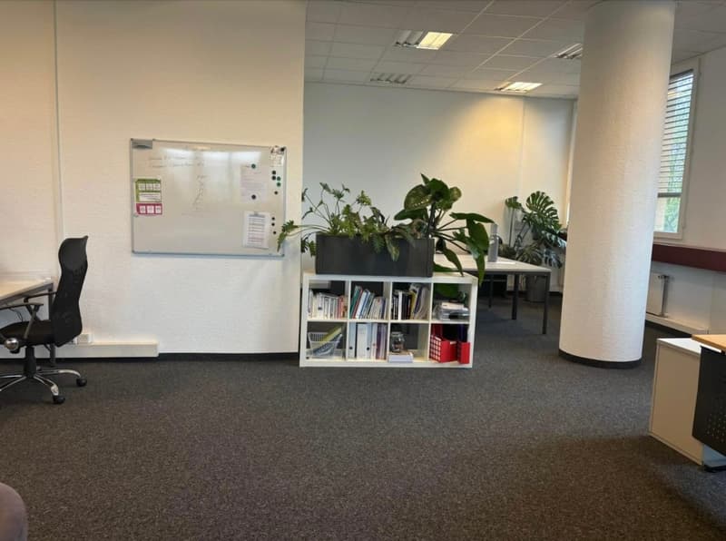 Professional premises for rent 234 m² + 6 parking spaces for rent – Renens (4)