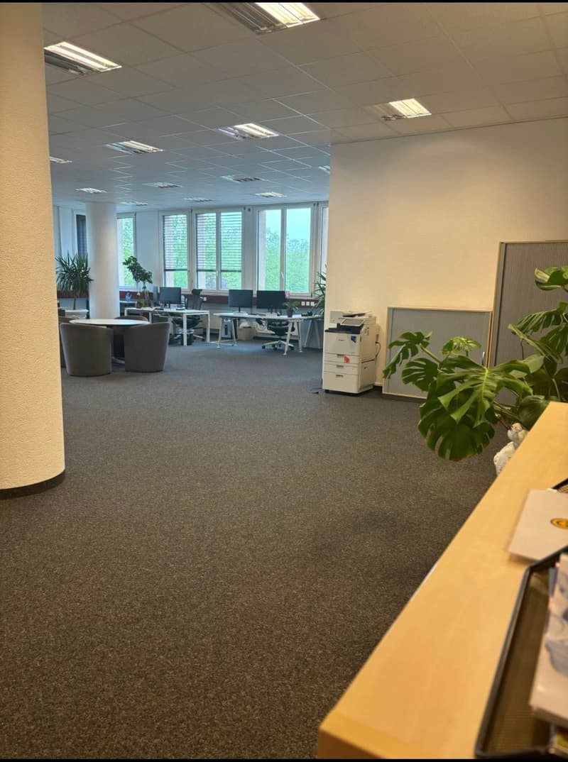 Professional premises for rent 234 m² + 6 parking spaces for rent – Renens (2)