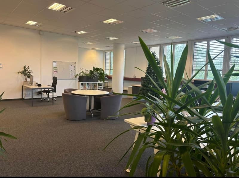 Professional premises for rent 234 m² + 6 parking spaces for rent – Renens (7)