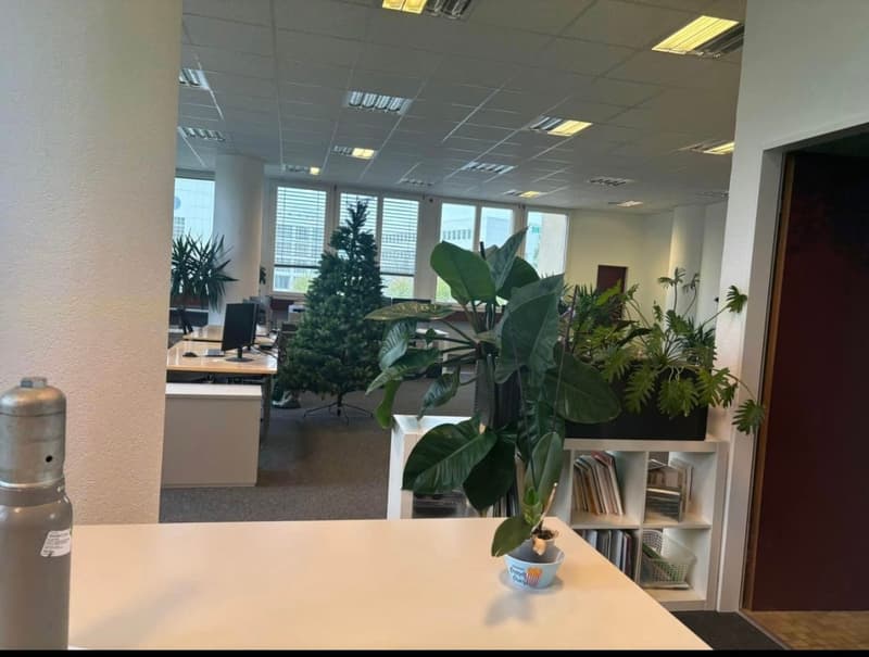 Professional premises for rent 234 m² + 6 parking spaces for rent – Renens (5)