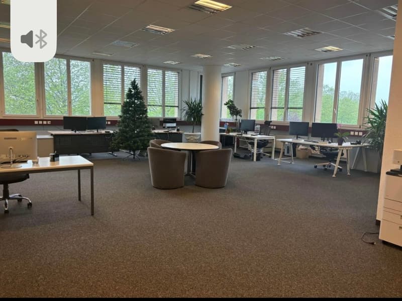 Professional premises for rent 234 m² + 6 parking spaces for rent – Renens (1)
