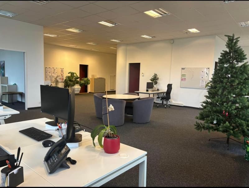 Professional premises for rent 234 m² + 6 parking spaces for rent – Renens (3)