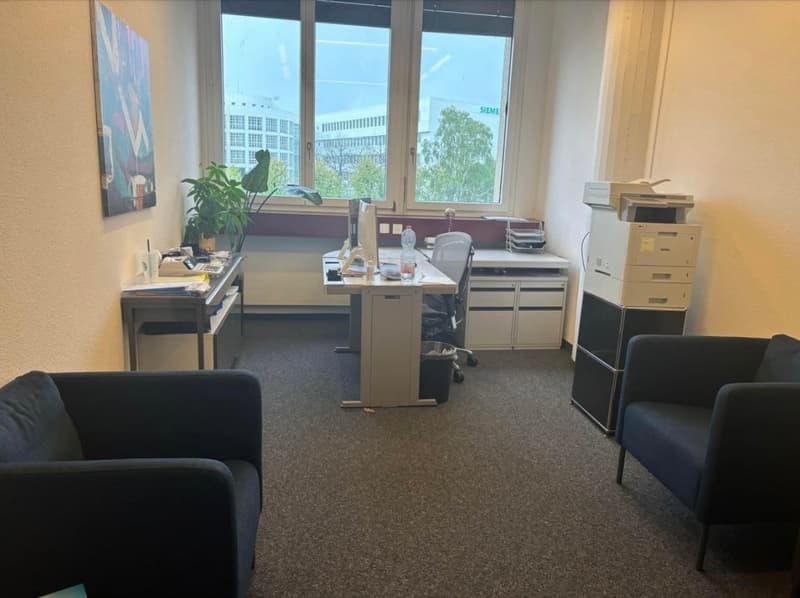 Professional premises for rent 234 m² + 6 parking spaces for rent – Renens (9)