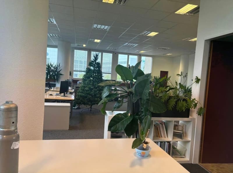 Professional premises for rent 234 m² + 6 parking spaces for rent – Renens (6)