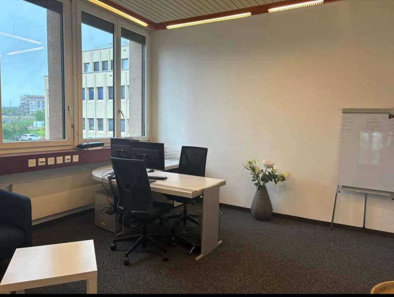 Professional premises for rent 234 m² + 6 parking spaces for rent – Renens (8)