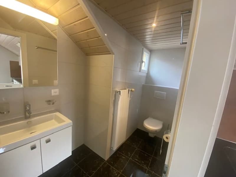 Rental building near Montreux with lake view – 3 apartments, gardens, terraces (13)