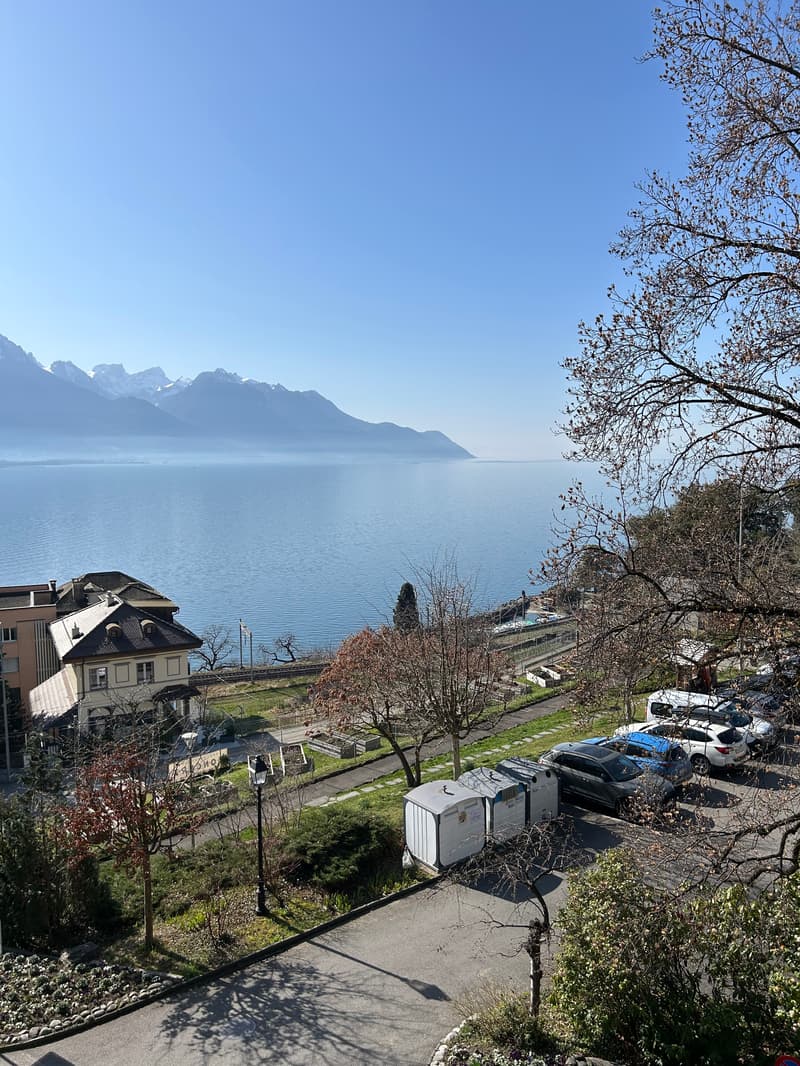 Rental building near Montreux with lake view – 3 apartments, gardens, terraces (9)