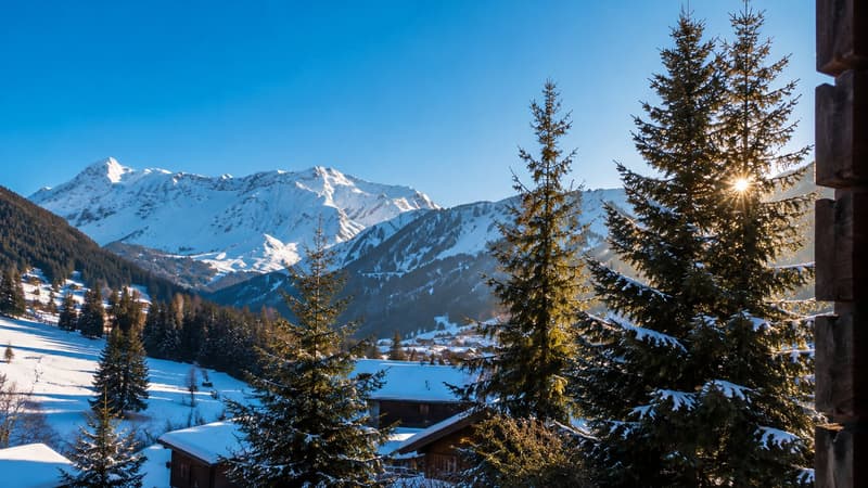 Character chalet in Morgins – Breathtaking view and great comfort (3)