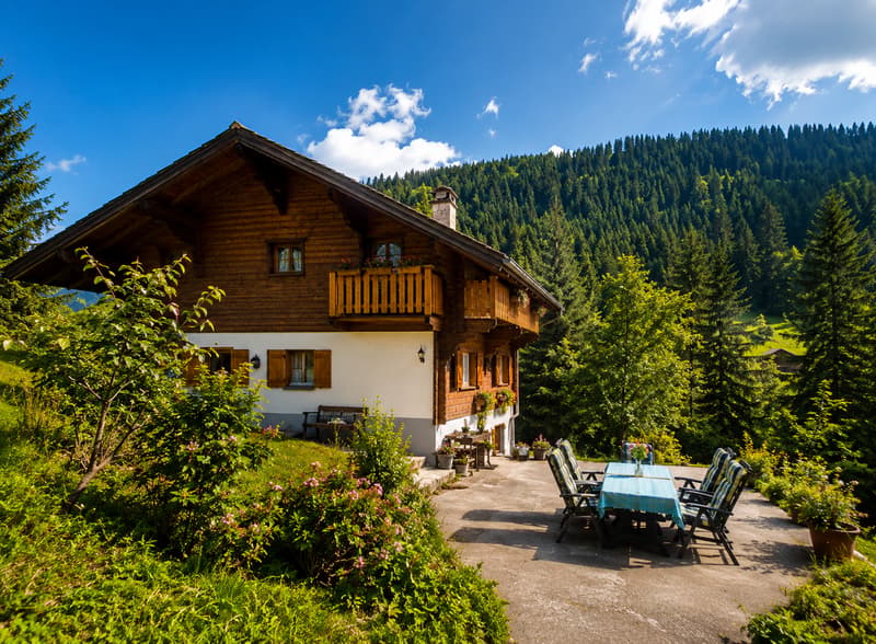 Character chalet in Morgins – Breathtaking view and great comfort (2)
