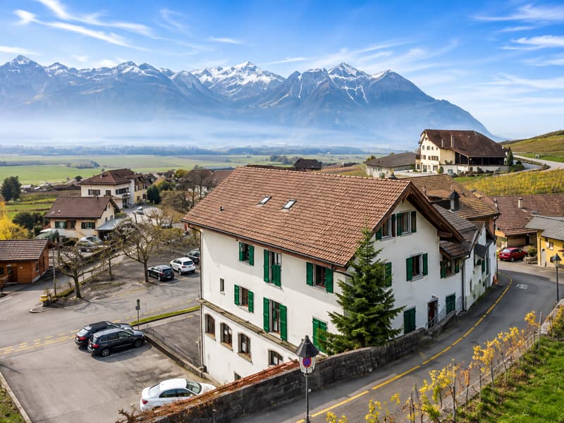 Immeuble de rendement avec fort potentiel – 13 appartements, vue exceptionnelle sur les vignobles (4)