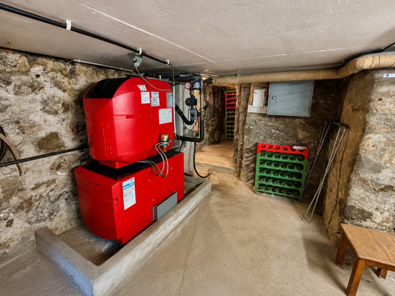Maison individuelle de 4.5 pièces à Torny – Charme et tranquillité en campagne (9)