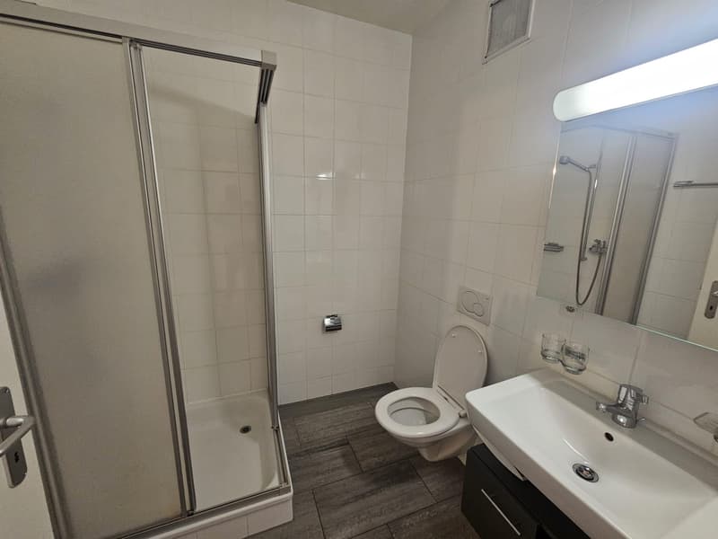 Appartement de 4.5 pièces en triplex dans une ancienne ferme rénovée (11)