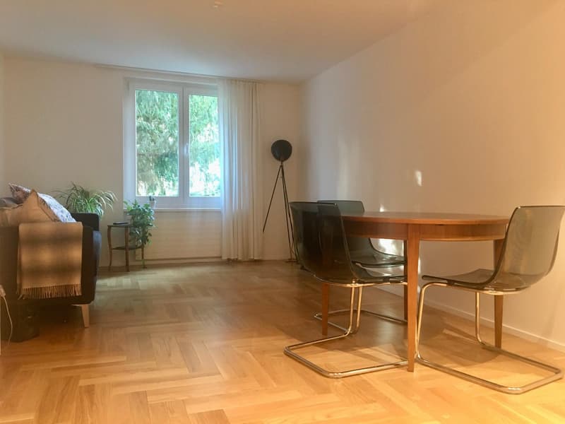 Appartement 2.5 pièces dans le district 3 (2)