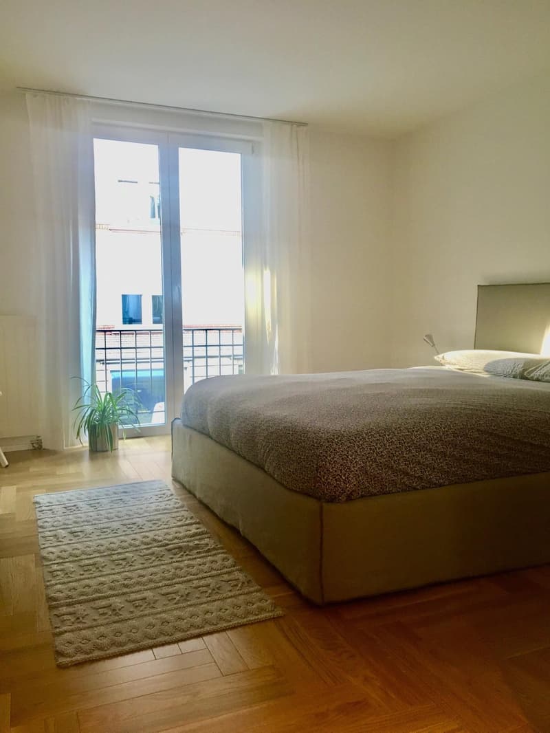 Appartement 2.5 pièces dans le district 3 (6)