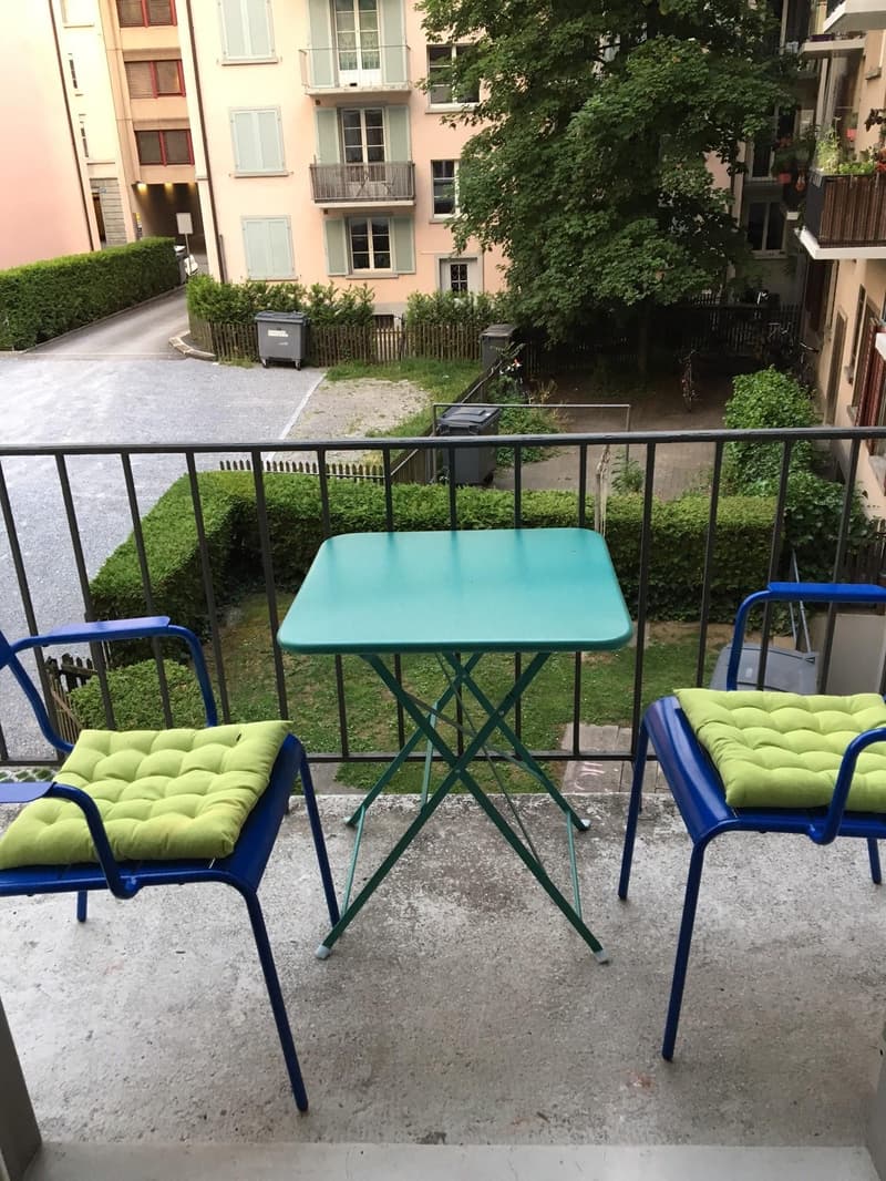 Appartement 2.5 pièces dans le district 3 (8)