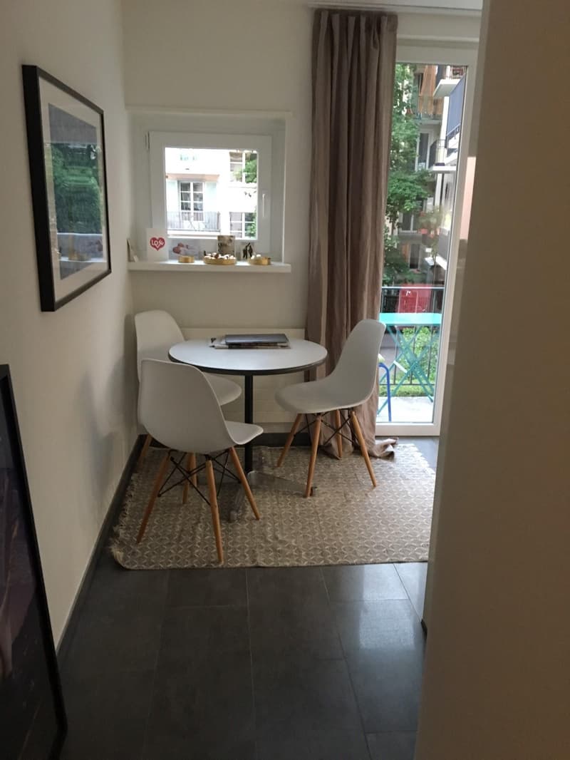 Appartement 2.5 pièces dans le district 3 (4)