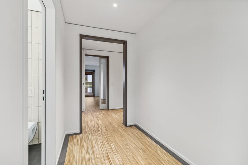 Wunderschöne 3.5 Zimmerwohnung Nähe Triemli Spital (8)