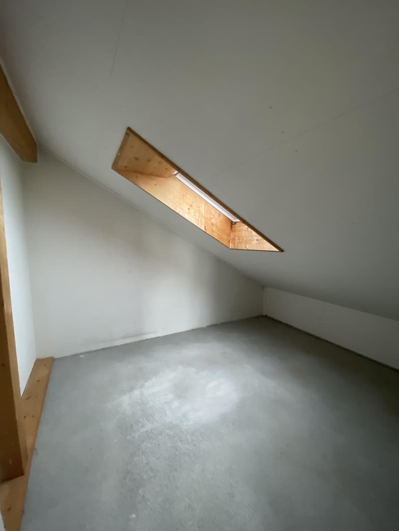 Ihr Zuhause zum Wohlfühlen - mit Ausblick über den Dächern (8)