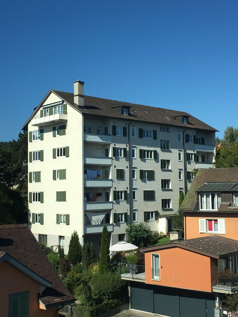 3.5 Zimmer-Wohnung in Neuhausen am Rheinfall (1)