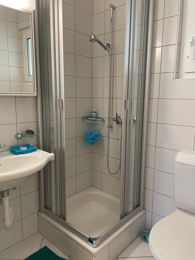 2.5 Zimmerwohnung in Oetwil am See (5)