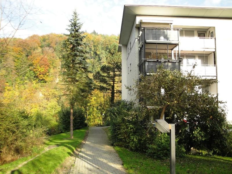 Charmante 5.5-Zimmerwohnung mit zwei Balkonen (2)
