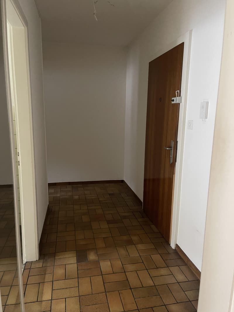 2.0 pièces appartement à Bâle (5)