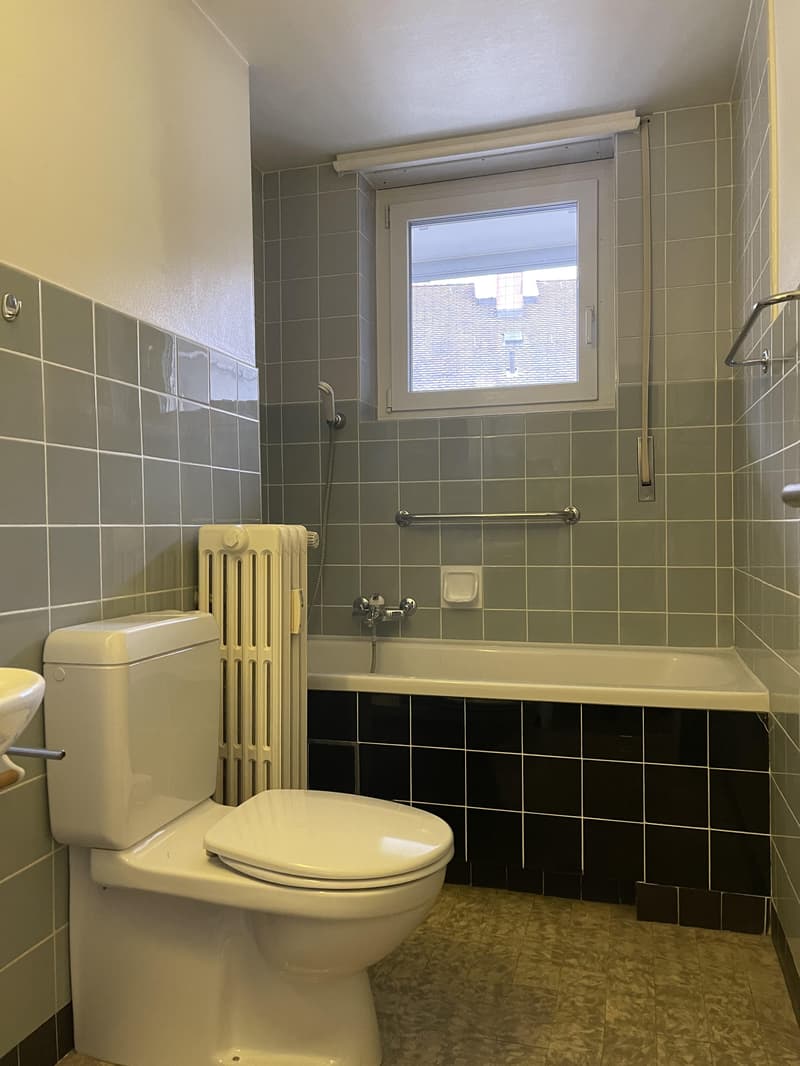2.0 pièces appartement à Bâle (2)