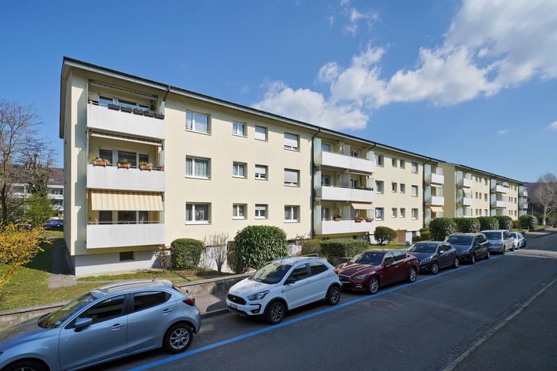 3.0 bedroom apartment in Riehen (1)