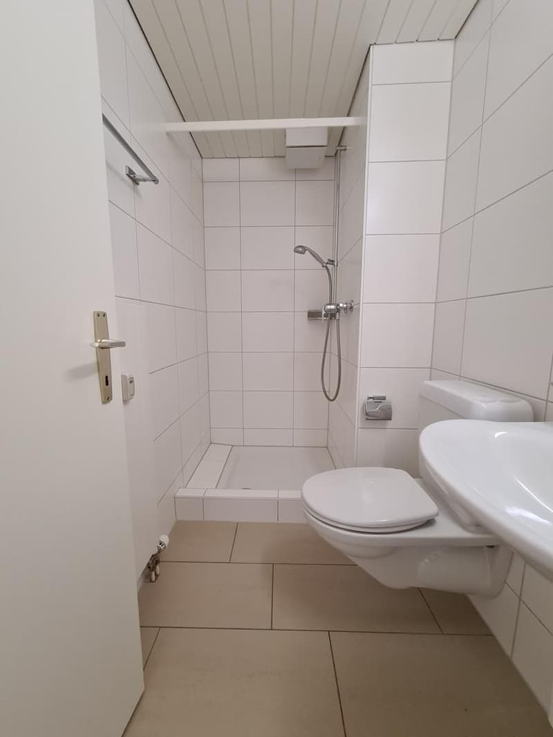 4.5 Zimmerwohnung in Bottmingen (5)