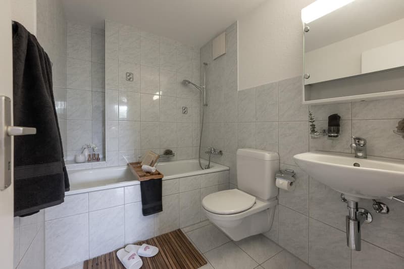 4.5 Zimmer-Dachwohnung (4)