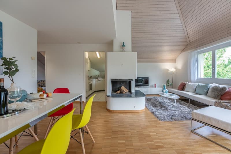 4.5 Zimmer-Dachwohnung (5)