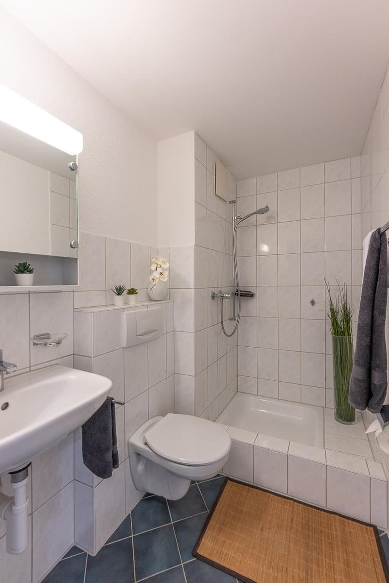 4.5 Zimmer-Dachwohnung (3)
