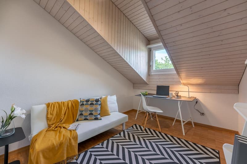4.5 Zimmer-Dachwohnung (8)