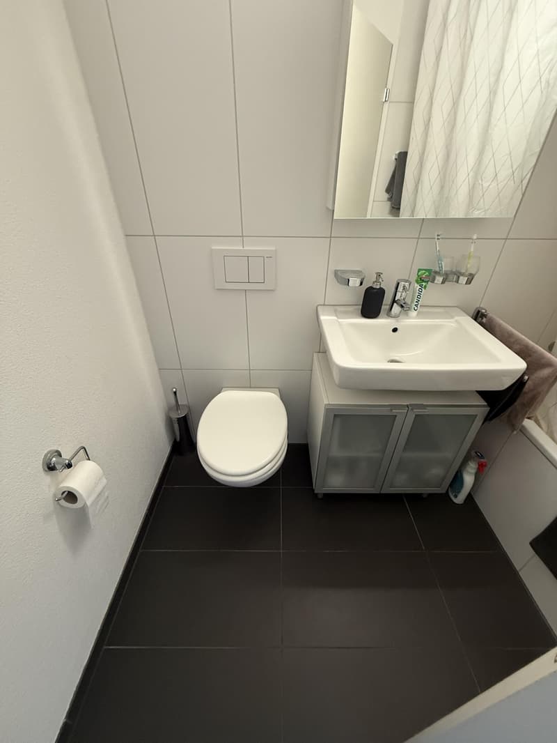3.5 room apartment in Bülach (7)
