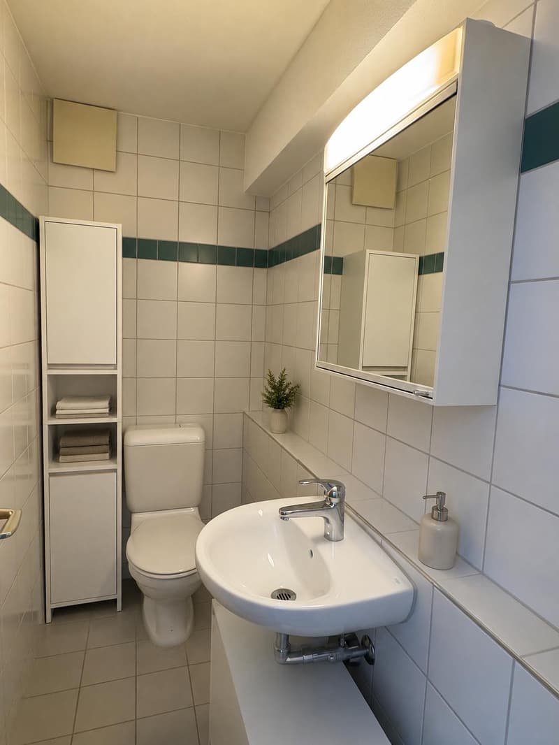Appartement 3.5 pièces à Amriswil (3)